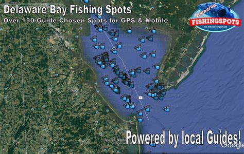 delaware bay fishing report|delaware bay fishing hot spots.